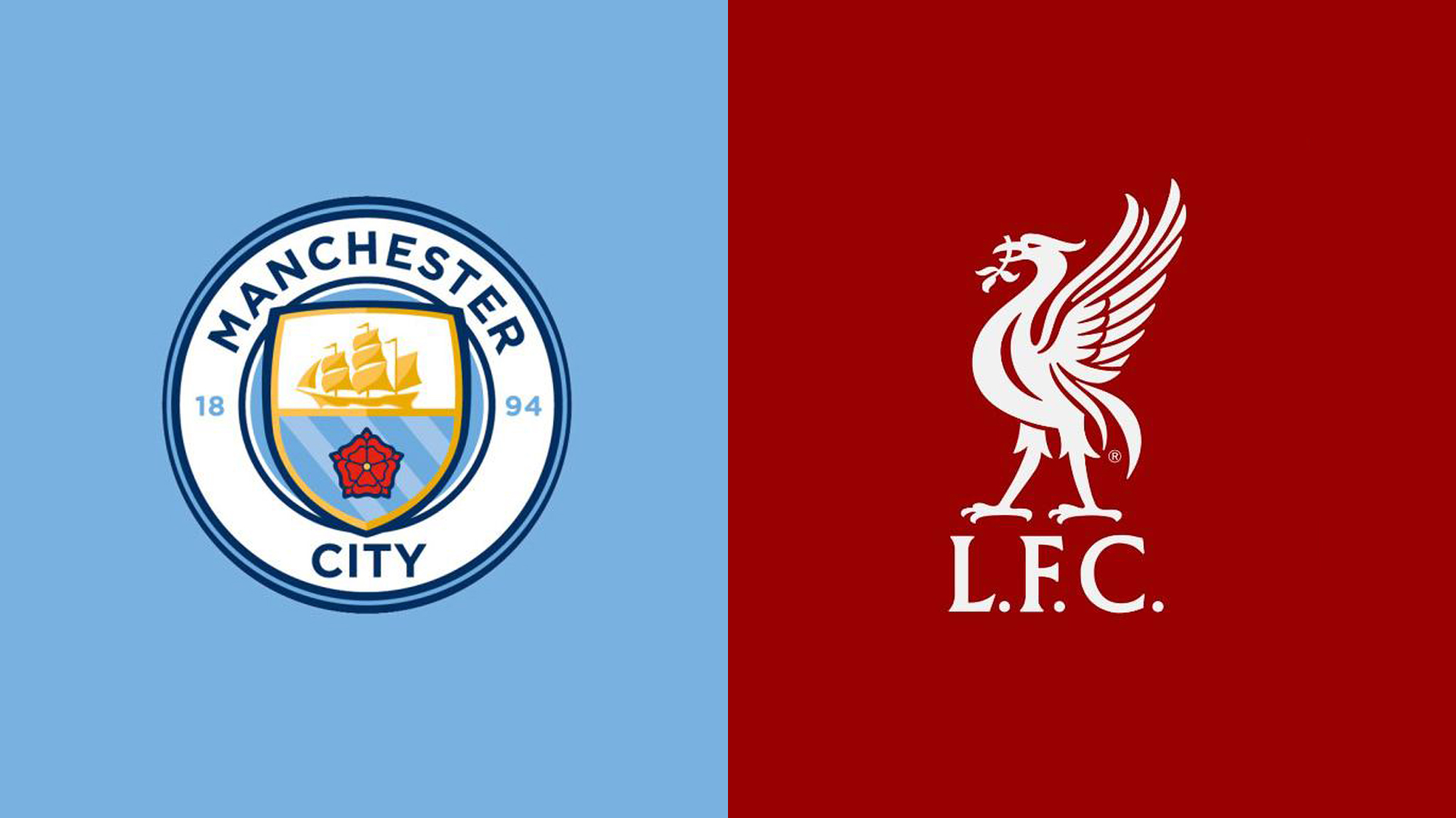 他们不仅以 他们不仅以