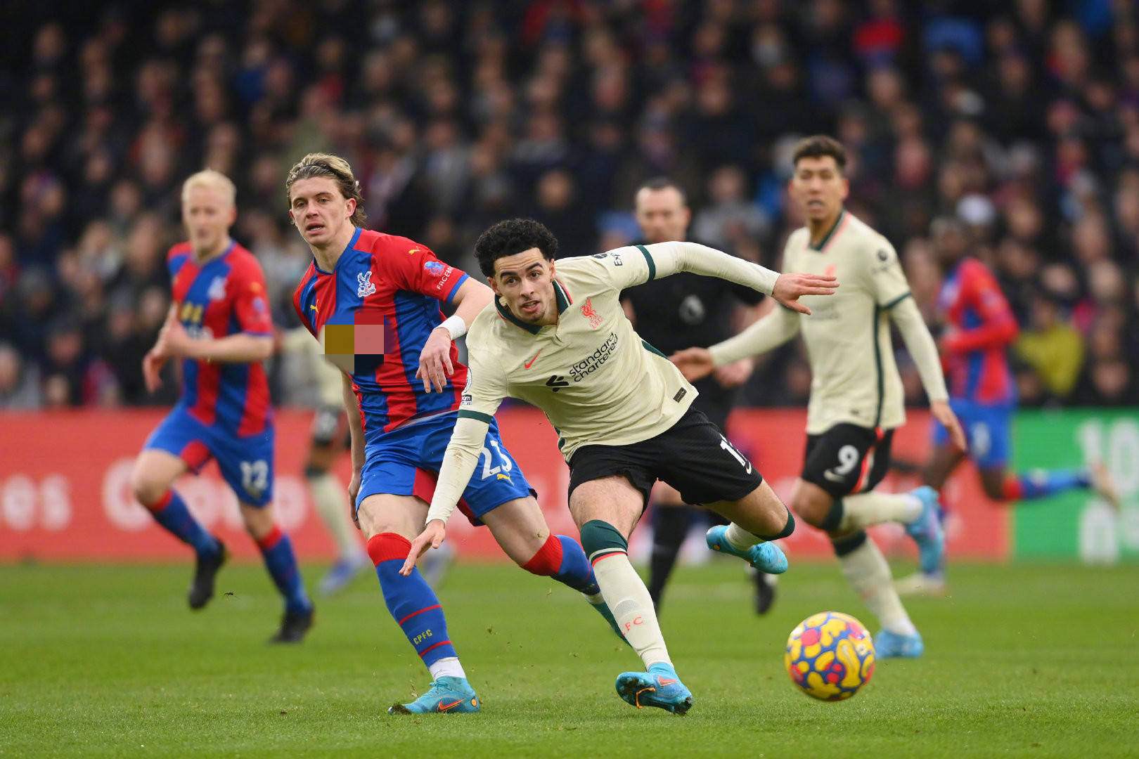 总台此次春 总台此次春